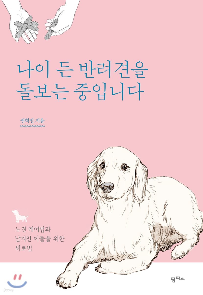 나이 든 반려견을 돌보는 중입니다