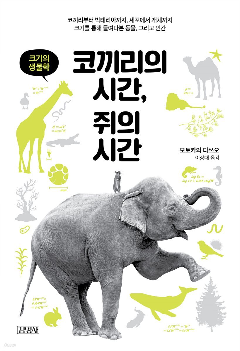 코끼리의 시간, 쥐의 시간 (체험판)