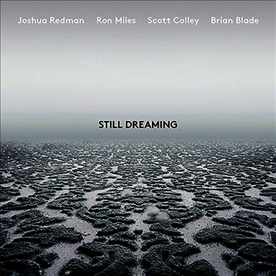Joshua Redman — Still Dreaming 앨범 커버