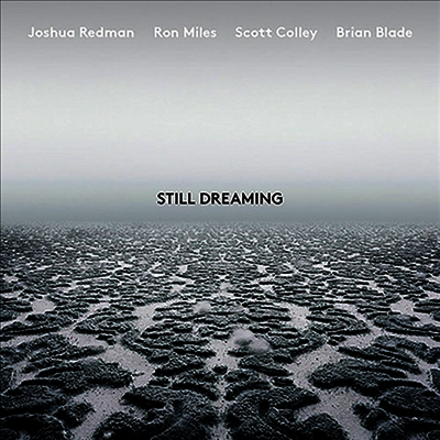 Joshua Redman - Still Dreaming (Vinyl LP)