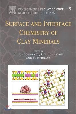 Surface and Interface Chemistry of Clay Minerals: Volume 9