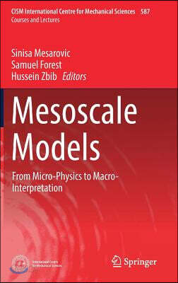 Mesoscale Models: From Micro-Physics to Macro-Interpretation