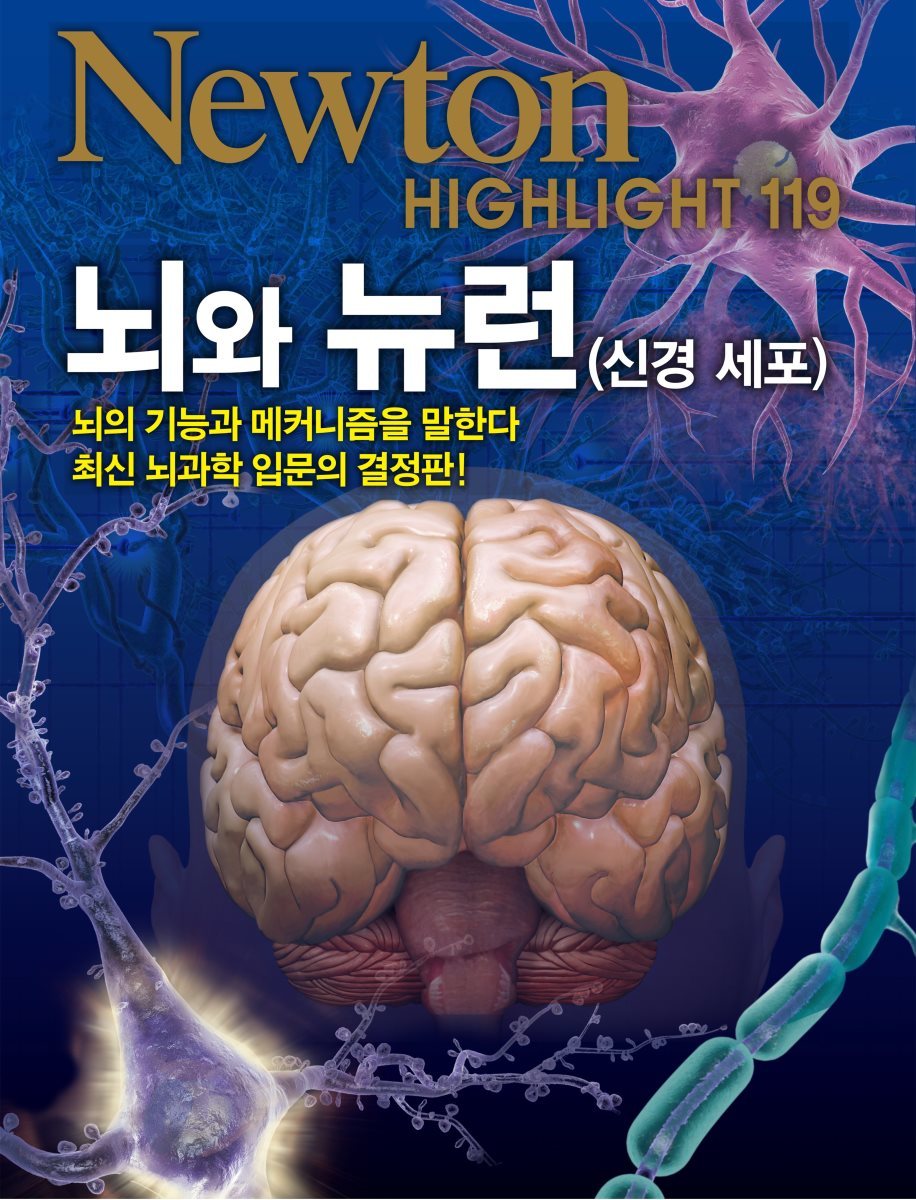 뇌와 뉴런(신경 세포) - Newton Highlight 119