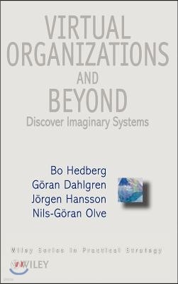 Virtual Organizations and Beyond: Discovering Imaginary Systems