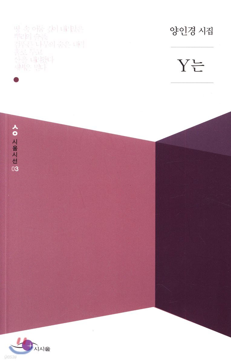 Y는