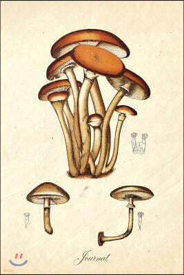 Createspace Independent Publishing Platform Journal: Magic Mushrooms - Vintage Antique Mushroom Botanical Illustration - Psilocybin - 120 Blank Lined 6x9 College Ruled Pag
