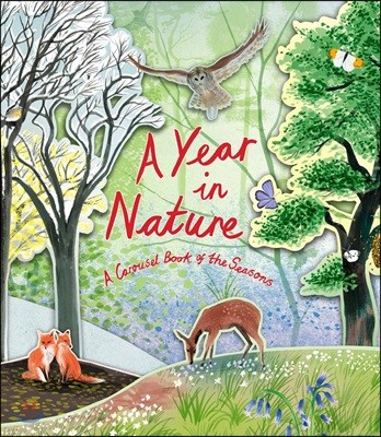 Year in Nature: A Carousel Book of the Seasons, A:A Carousel
