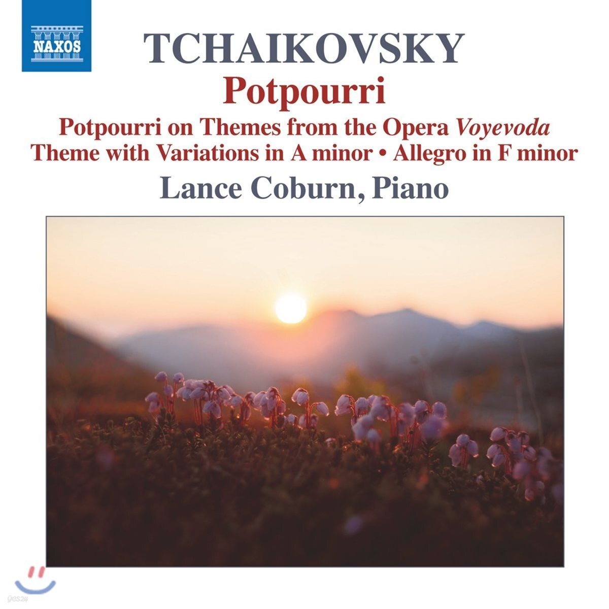 Lance Coburn 차이코프스키: 잘 알려지지 않은 피아노 작품 모음집 (Tchaikovsky: Potpourri)