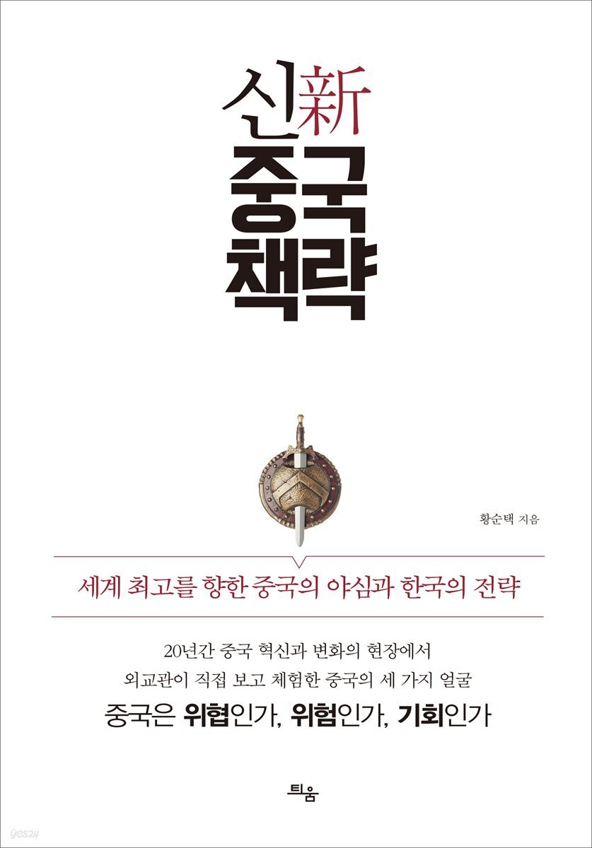 신중국책략