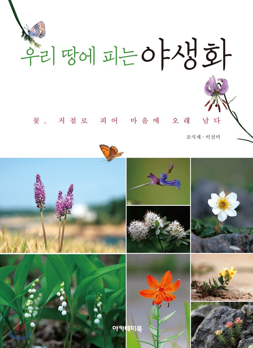 우리 땅에 피는 야생화