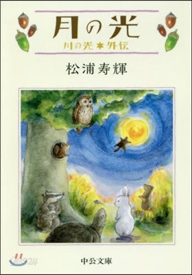 月の光