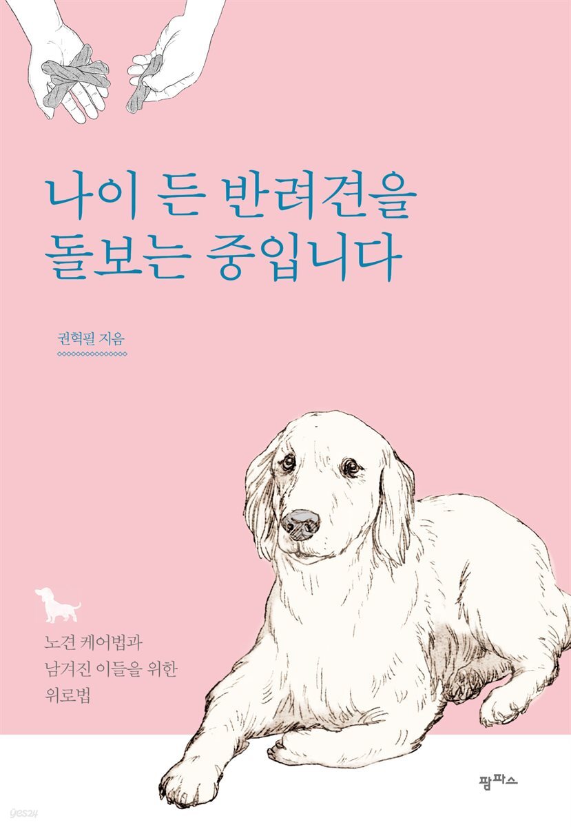 나이 든 반려견을 돌보는 중입니다