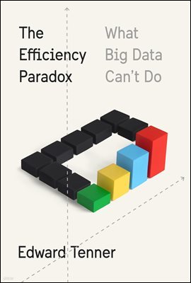 The Efficiency Paradox