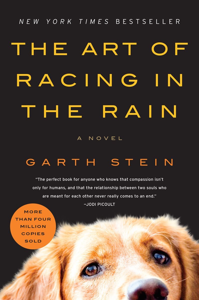 The Art of Racing in the Rain