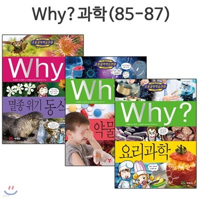 why   нȭ 85-87 (3) / Ʈ 1 