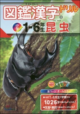 圖鑑漢字ドリル 小學1-6年生(3)昆蟲