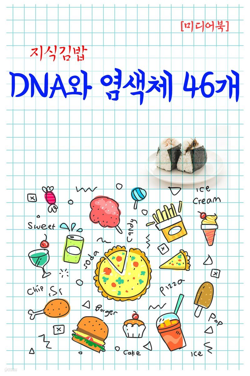 지식김밥 : DNA와 염색체 46개