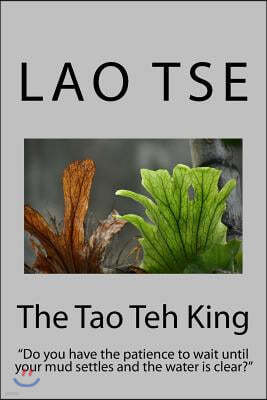 The Tao Teh King: Do You Have the Patience to Wait Until Your Mud Settles and the Water Is Clear?