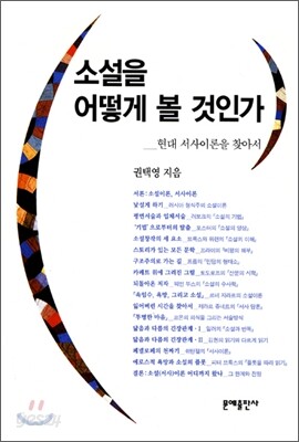 소설을 어떻게 볼 것인가