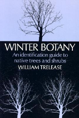 Winter Botany