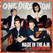 One Direction - Made In The A. M. (홍보용 음반) 