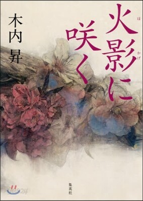 火影にさく