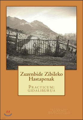 Zuzenbide Zibileko Hastapenak: Practicum: Gidaliburua