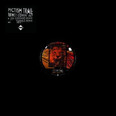Pictish Trail - Who's Comin' In (12 inch Single LP)