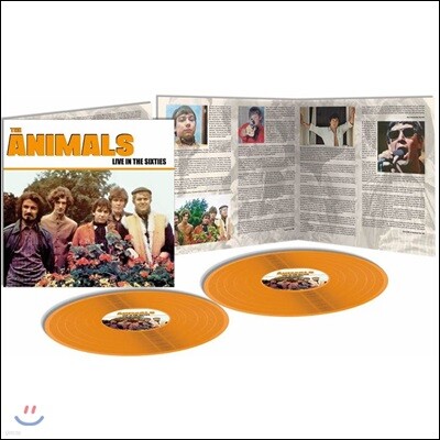 The Animals — Live In The Sixties 애니멀즈 1966-1967 라이브 실황 앨범 커버