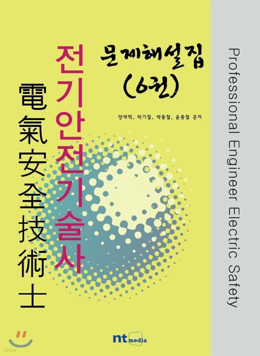 전기안전기술사 문제해설집 6