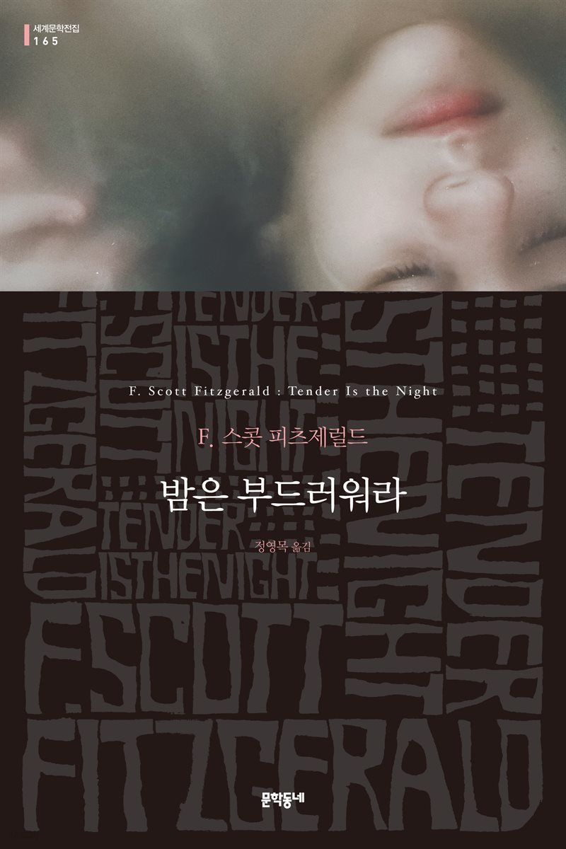 밤은 부드러워라 - 세계문학전집 165
