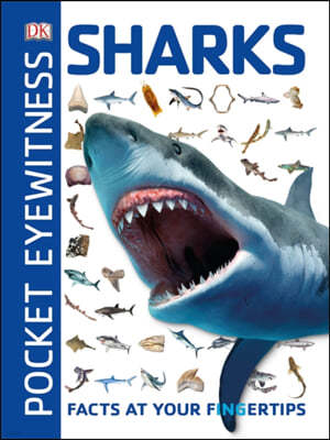 The Pocket Eyewitness Sharks