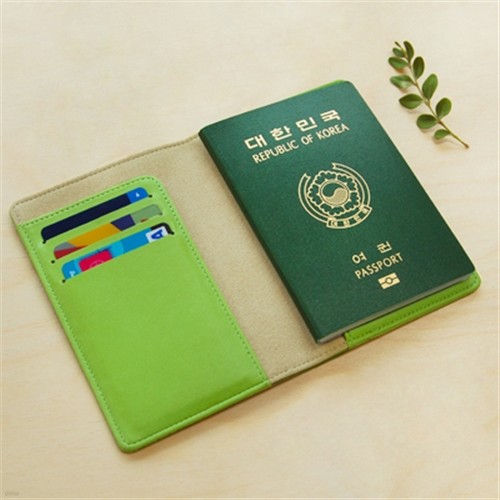 VG-E PASSPORT COVER-celery