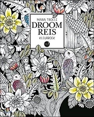 Droomreis kleurboek (Dutch)