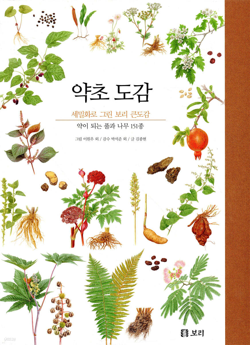 약초 도감