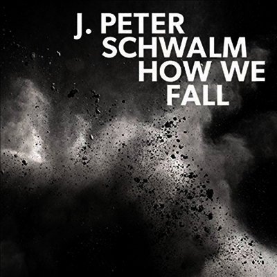 J.Peter Schwalm — How We Fall 앨범 커버