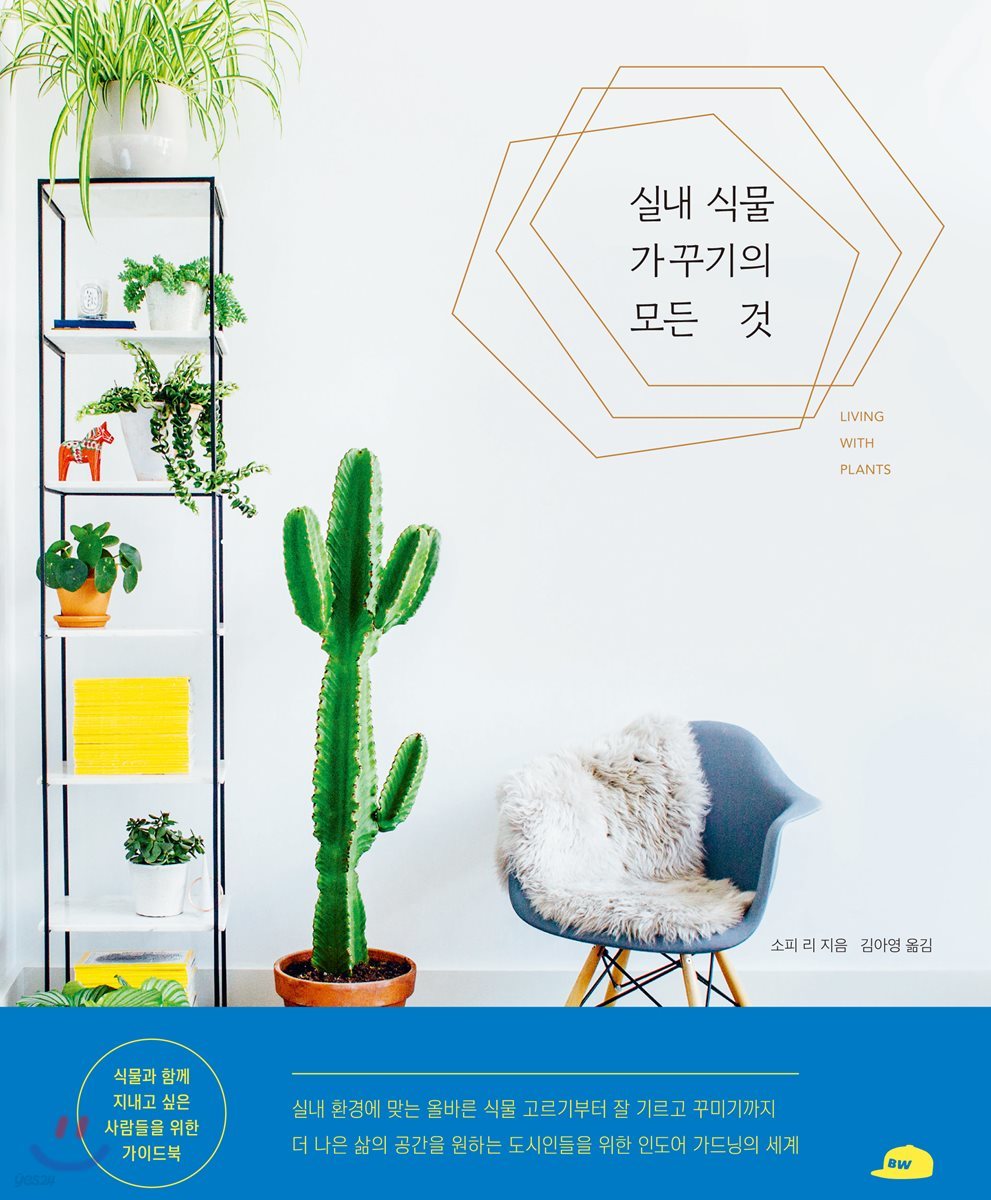 실내 식물 가꾸기의 모든 것