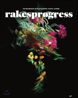 Rakesprogress (谣) : 2018, No. 7
