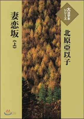 妻戀坂(上)