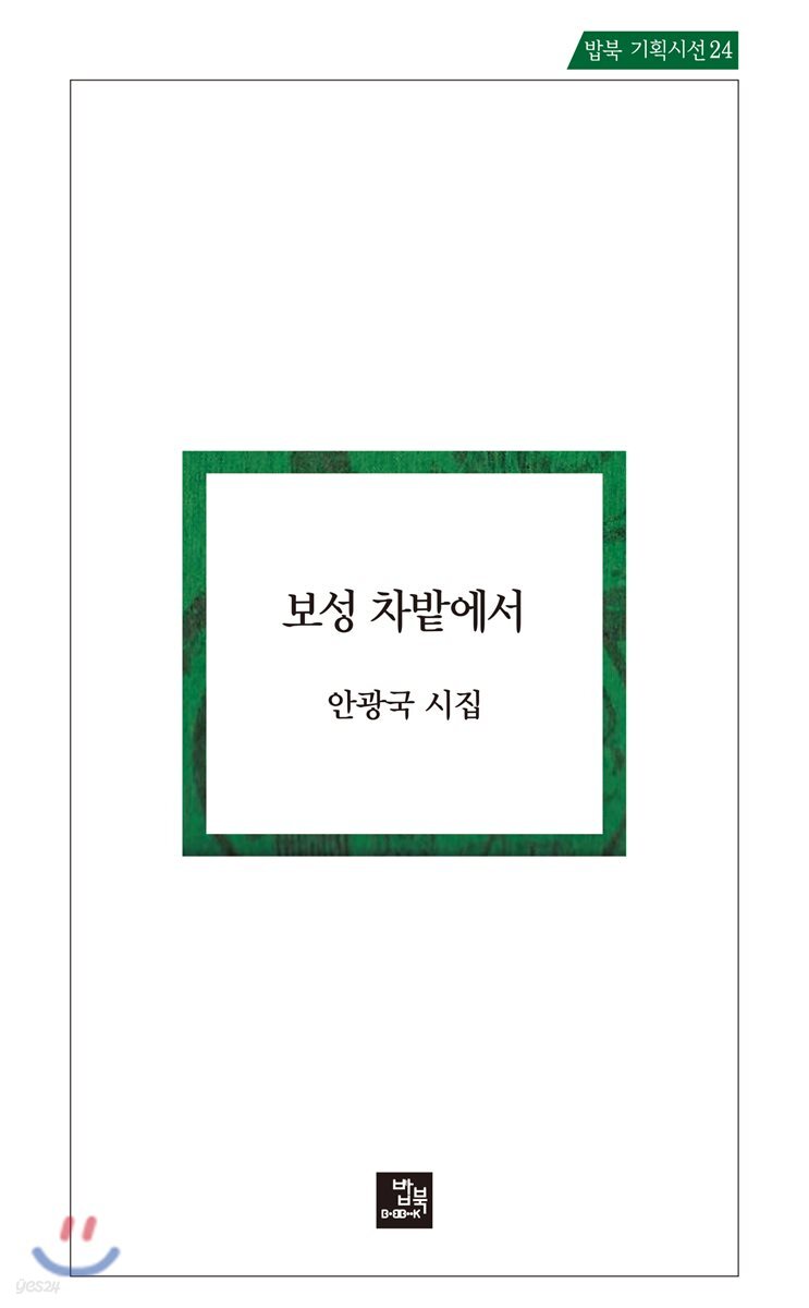 보성 차밭에서