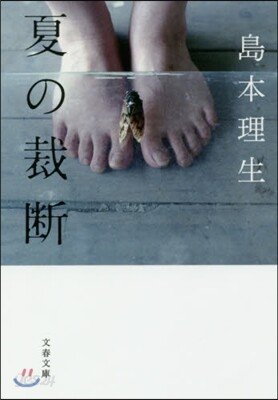 夏の裁斷