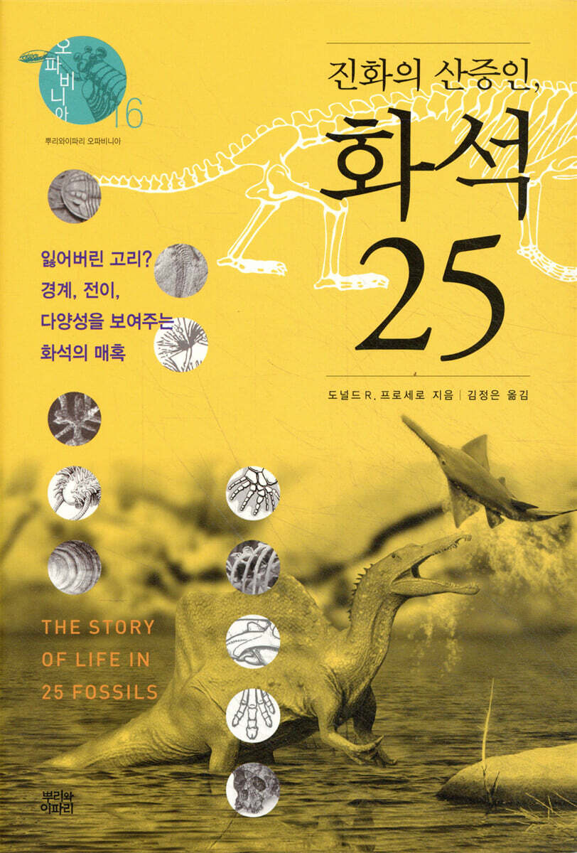진화의 산증인, 화석 25