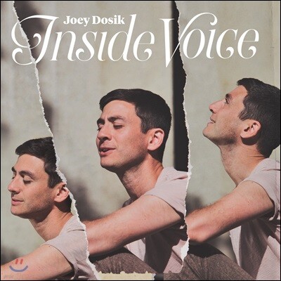 Joey Dosik — Inside Voice 앨범 커버