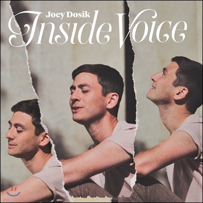 Joey Dosik ( ) - Inside Voice [LP]