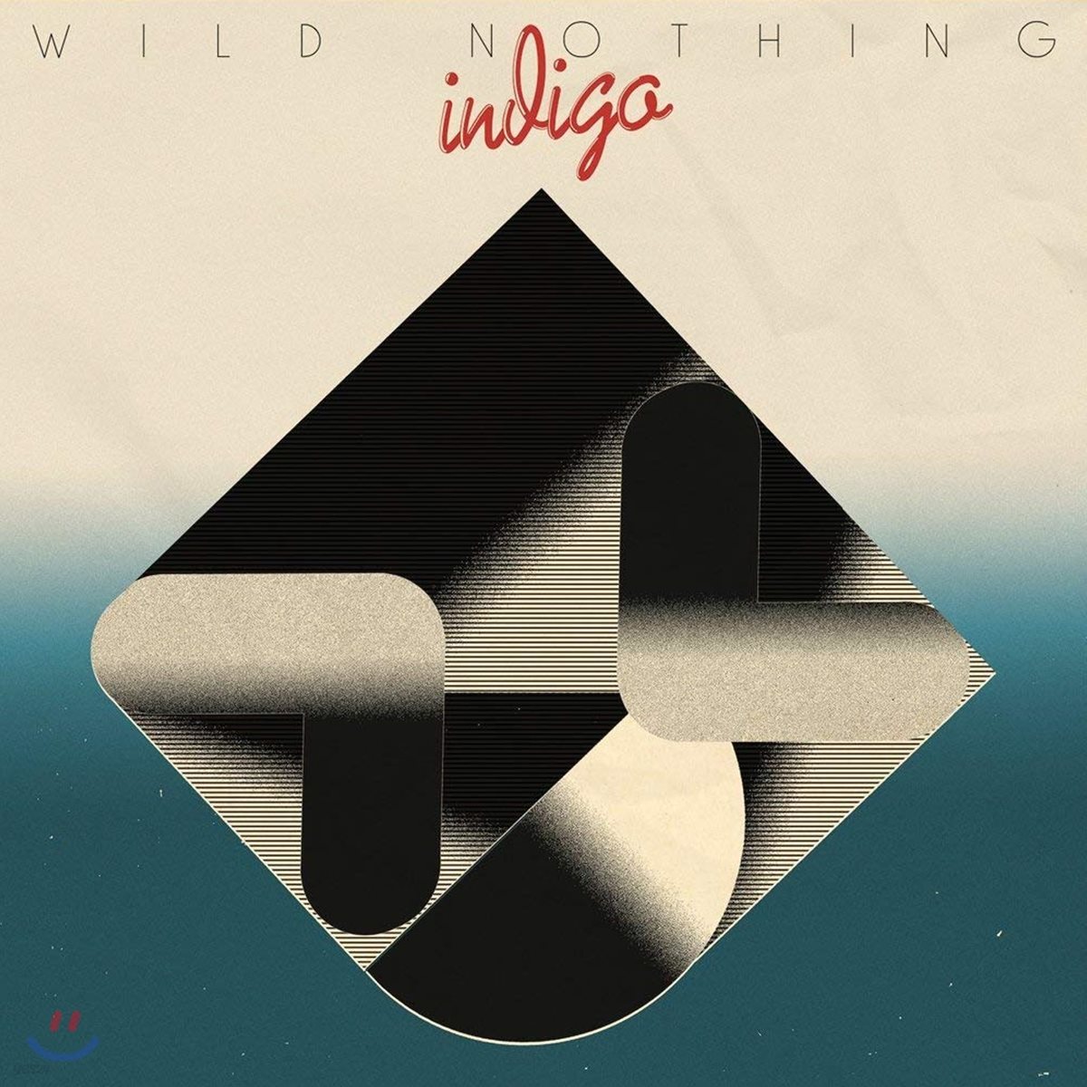 Wild Nothing (와일드 나씽) - Indigo [LP]