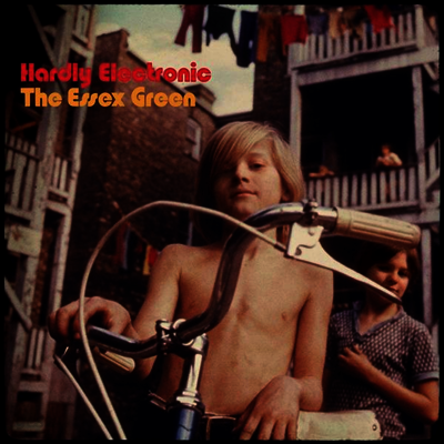 Essex Green - Hardly Electronic (LP)