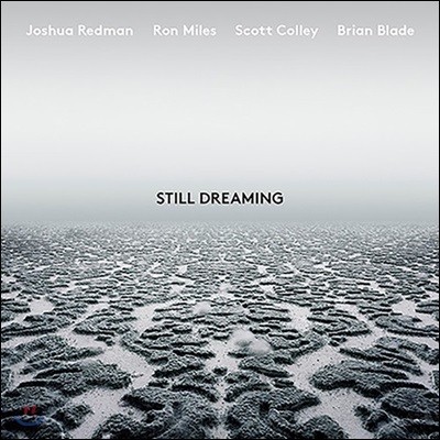 Joshua Redman ( ) - Still Dreaming