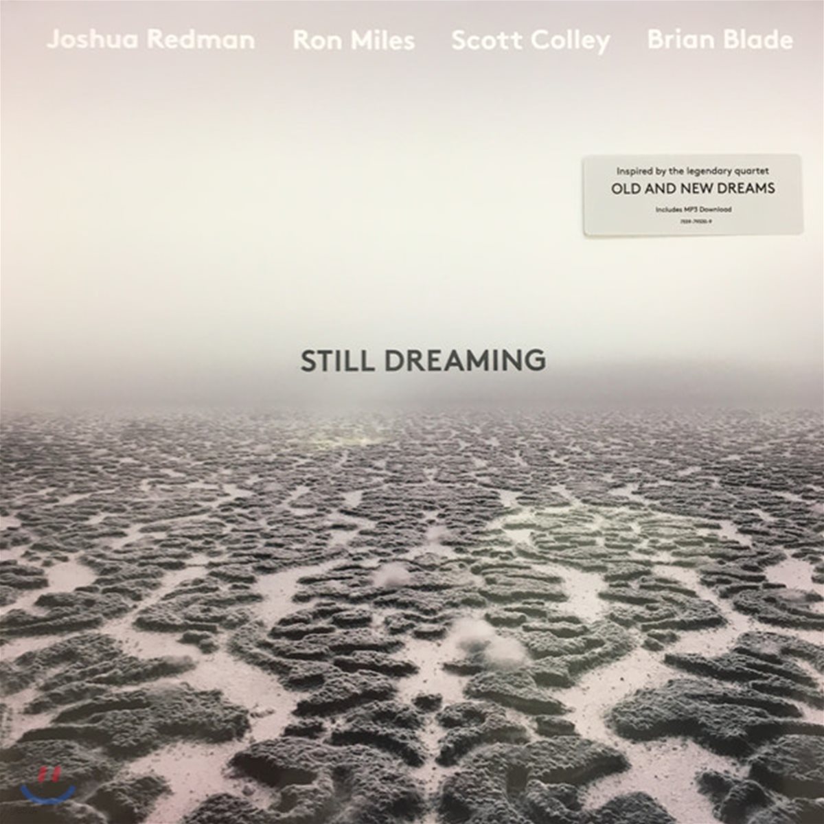 Joshua Redman (조슈아 레드먼) - Still Dreaming [LP]