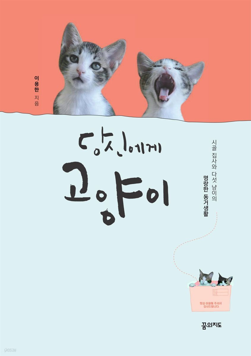 당신에게 고양이