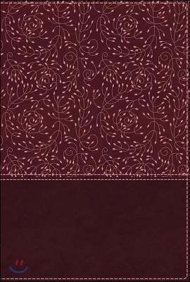Nrsv, Cultural Backgrounds Study Bible, Leathersoft, Burgundy, Comfort Print: Bringing to Life the Ancient World of Scripture